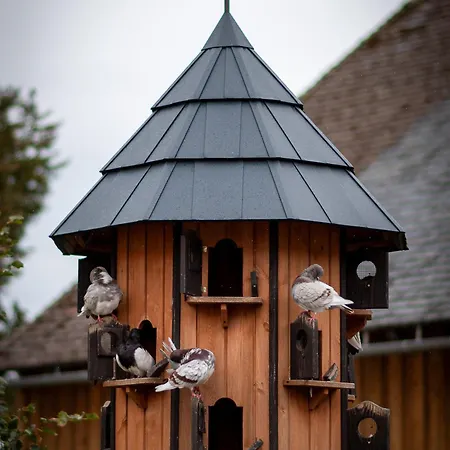 Urlaub Auf Dem Bauernhof Hedwigshoehe Hohnstein