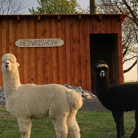 Urlaub Auf Dem Bauernhof Hedwigshoehe Apartment